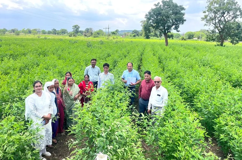 दलहन आत्मनिर्भरता मिशन के तहत अरहर फसल प्रदर्शनों का निरीक्षण
