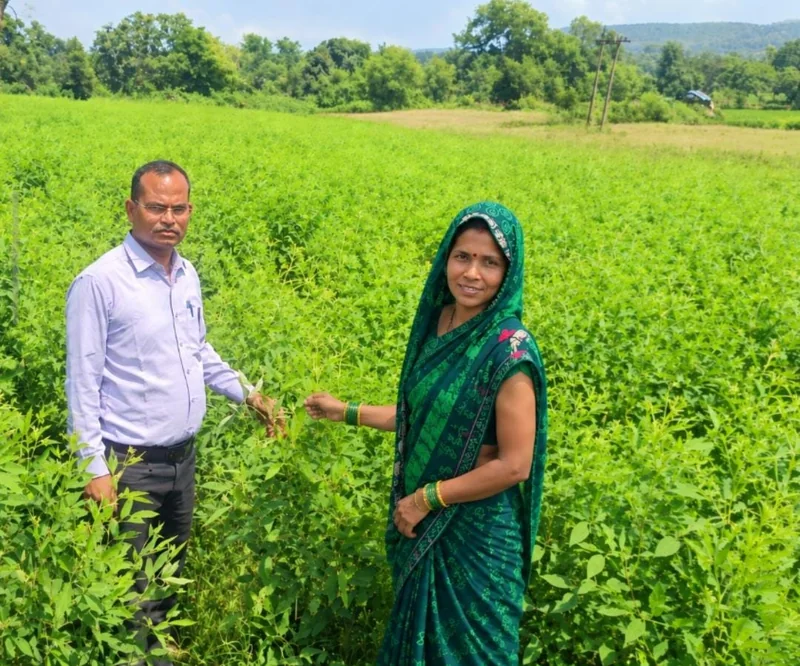 पनागर के छत्तरपुर की अनीता बाई कोल ने उन्नत खेती से लिखी सफलता की नई इबारत