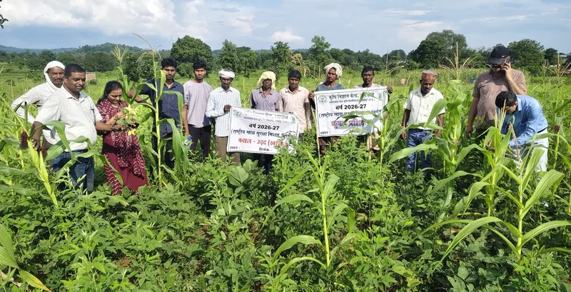किसानों को दलहन, धान एवं मिर्च की फसलों में कीट-व्याधि प्रबंधन की दी गई जानकारी