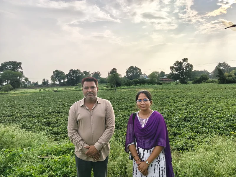 रेज्ड बेड प्लांटर से दलहन की खेती बनी लाभ का जरिया